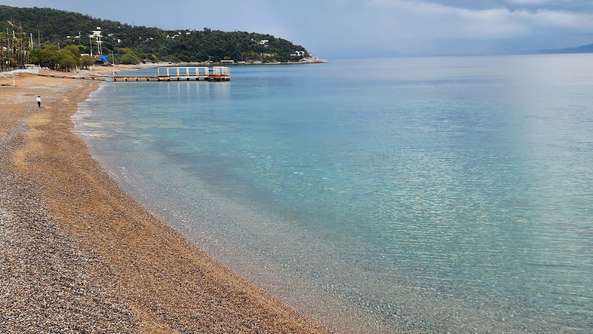 Bodrum Belediyesi Yalıçiftlik Plajı — fotoğraf 4