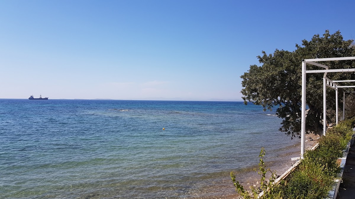 Akçansa Plajı — fotoğraf 2