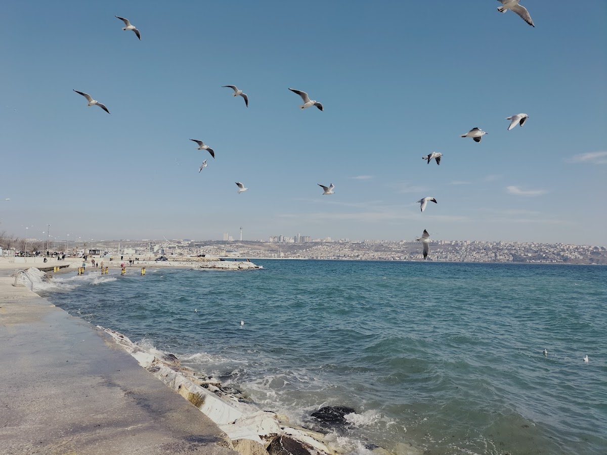 Mimarsinan Sahili — fotoğraf 3