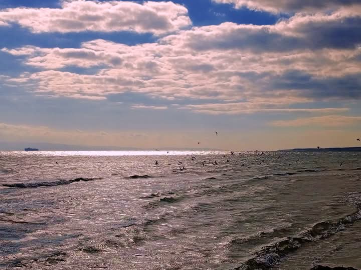 Tekirdağ Büyükşehir Belediyesi Şarköy 1 No'lu Halk Plajı — fotoğraf 5