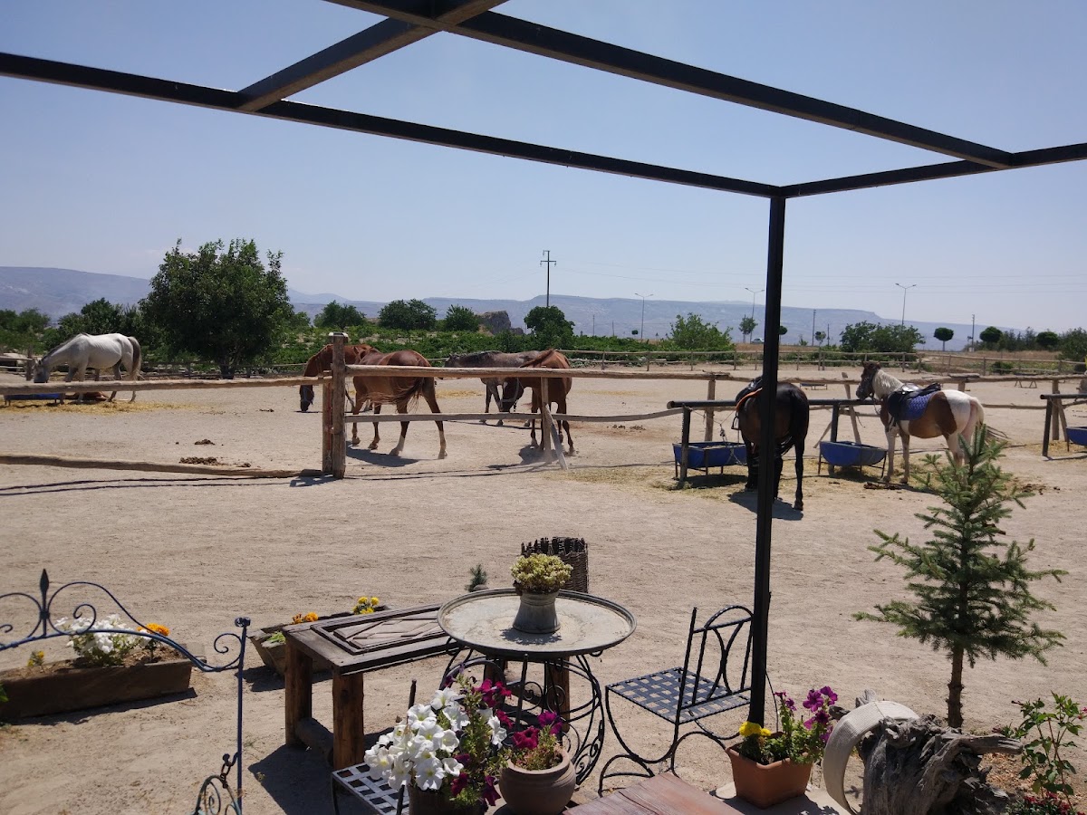 Cemal Ranch — fotoğraf 5
