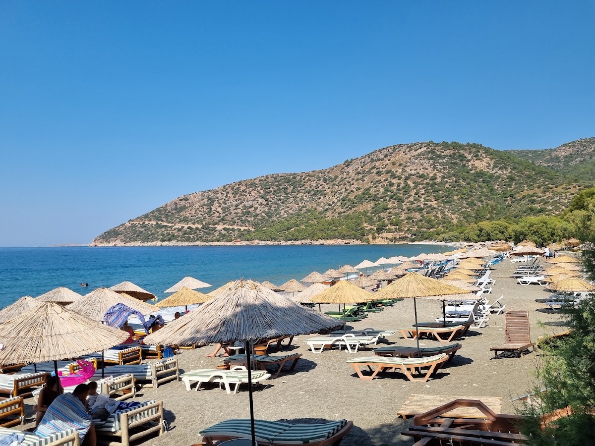Ovabükü