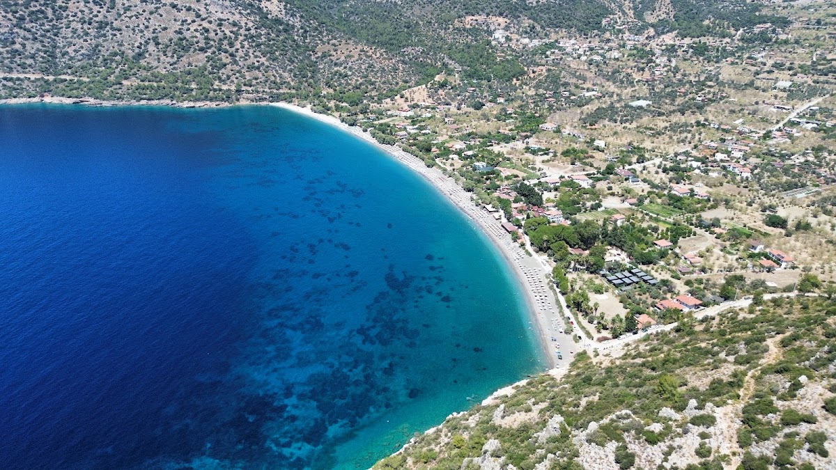 Ovabükü — fotoğraf 2