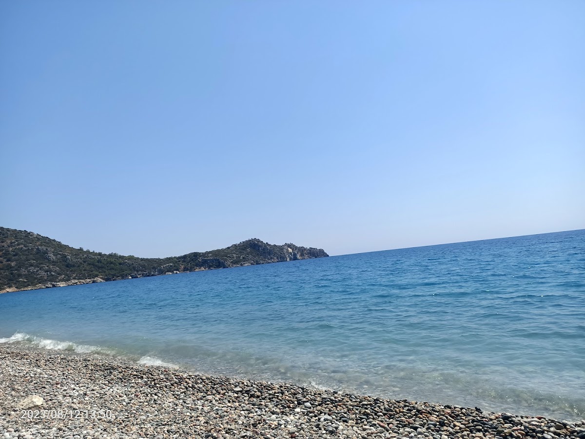 Ovabükü — fotoğraf 3