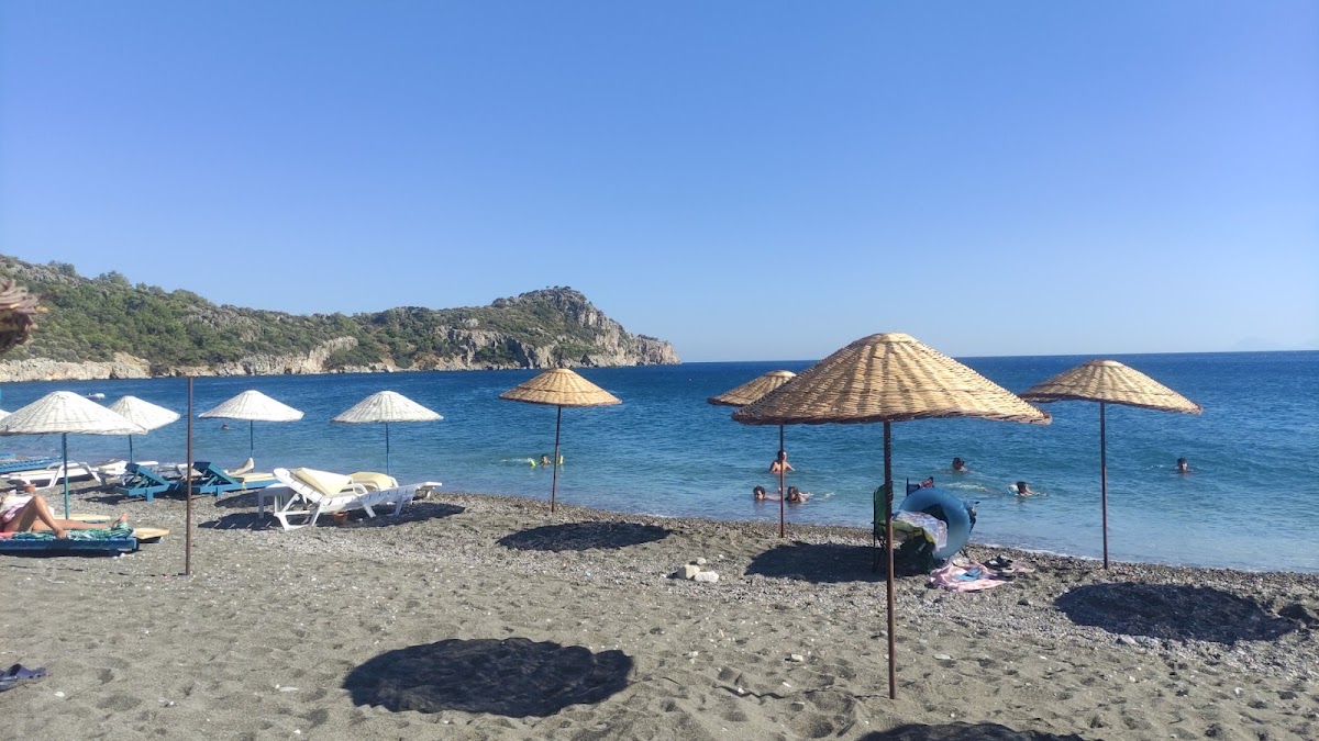 Ovabükü — fotoğraf 4