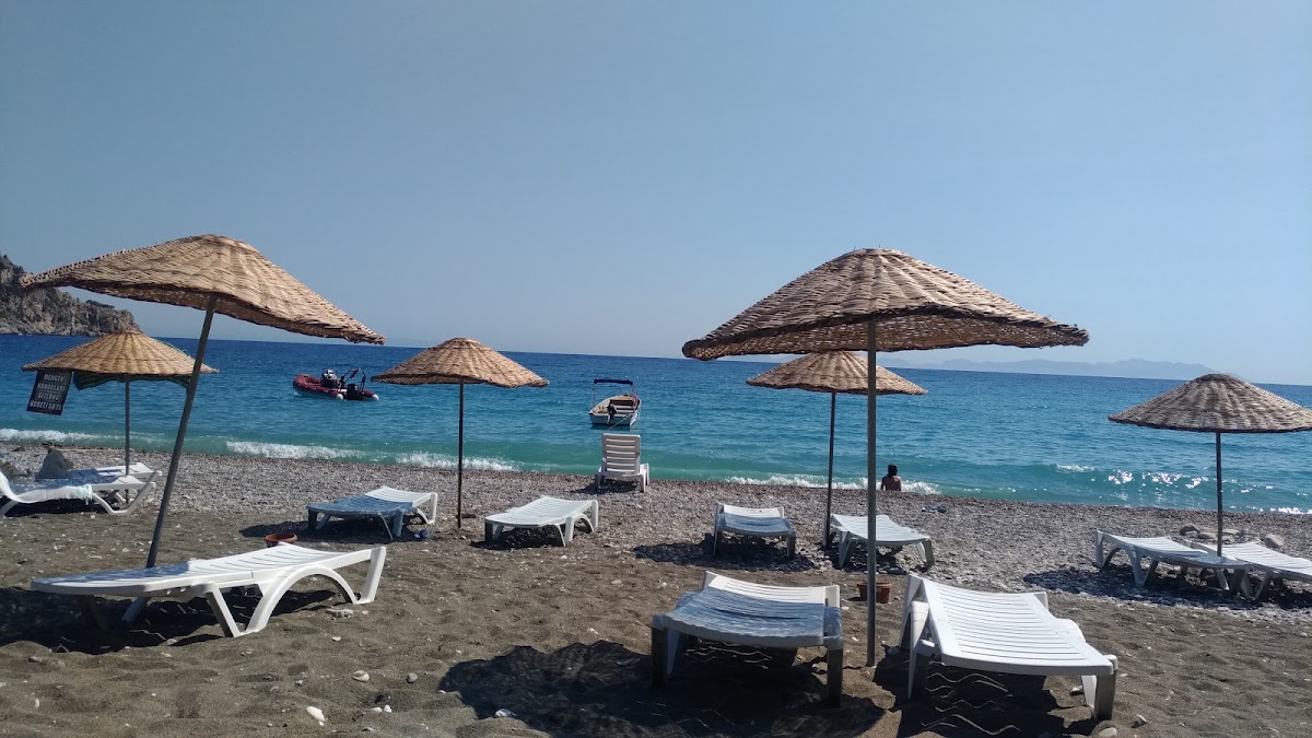 Ovabükü — fotoğraf 5
