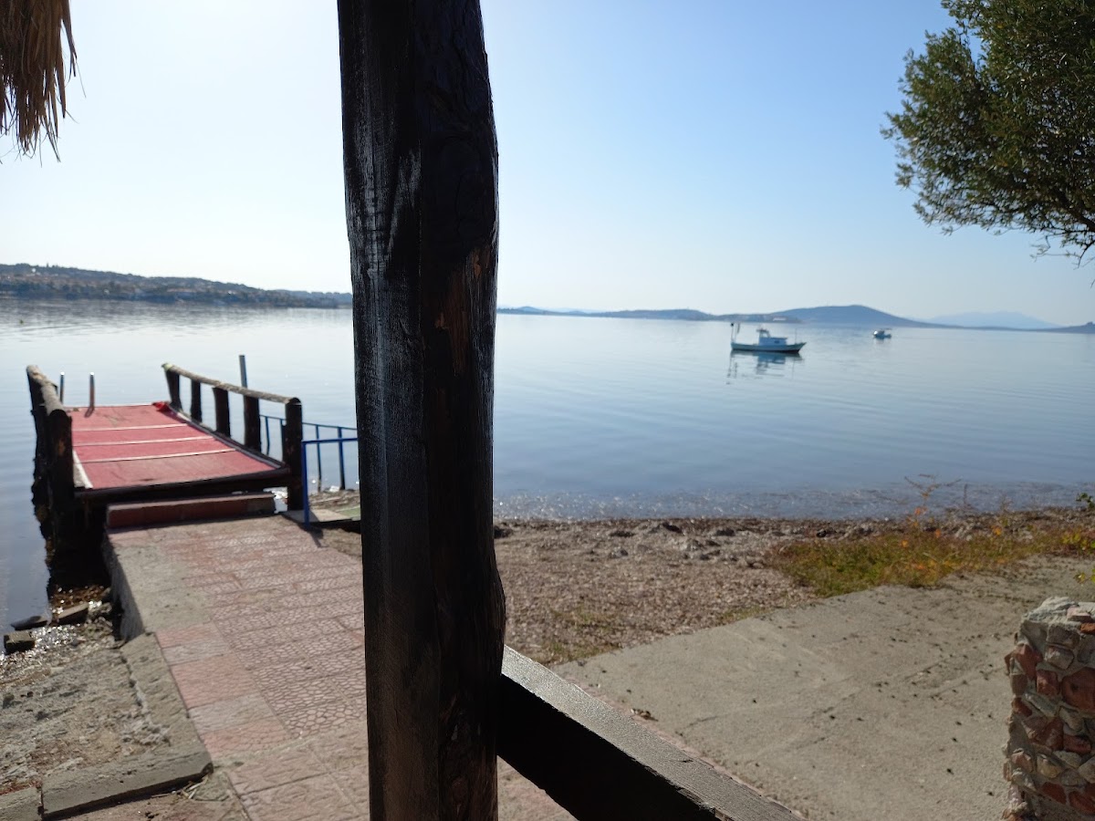 Engürü Tatil Sitesi Palmiye Plajı — fotoğraf 3