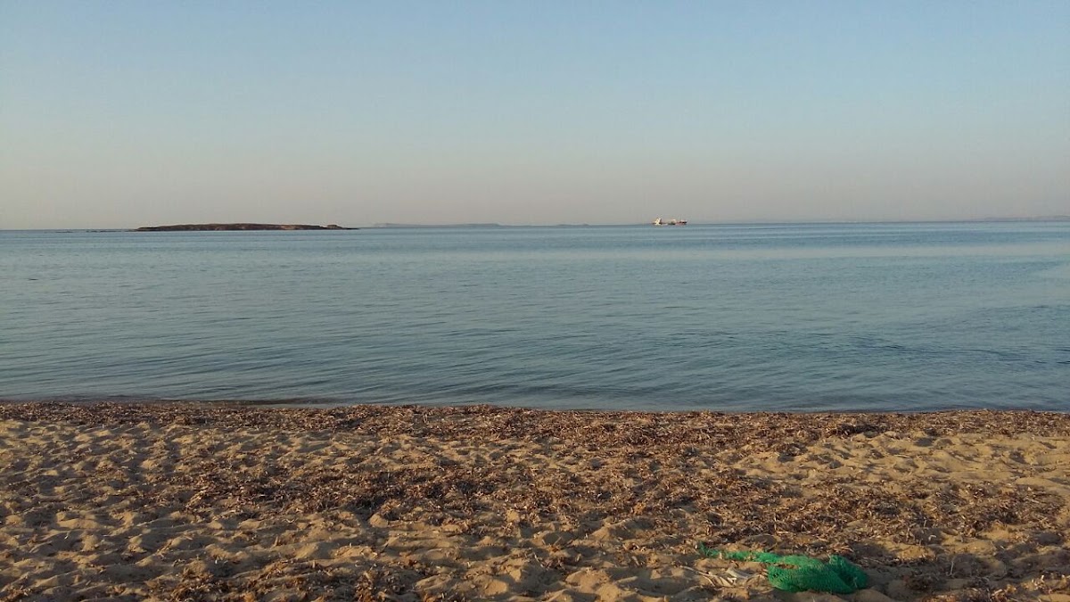 Çayır Koyu Plajı — fotoğraf 2