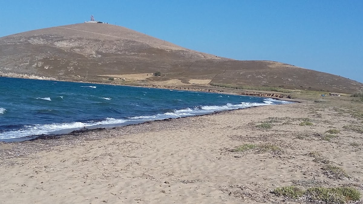 Çayır Koyu Plajı — fotoğraf 3