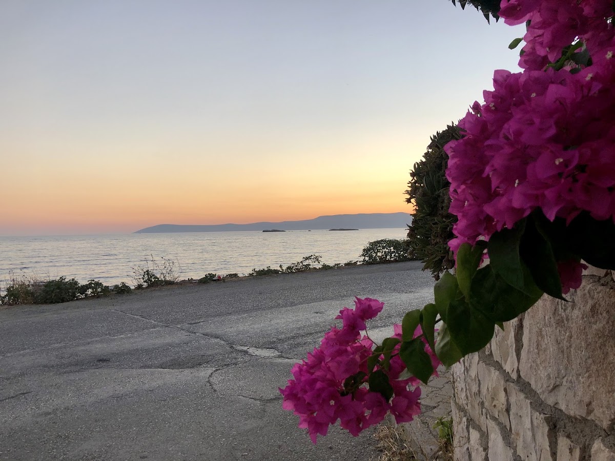 Gemisuyu Mevkii Halk Plajı — fotoğraf 4