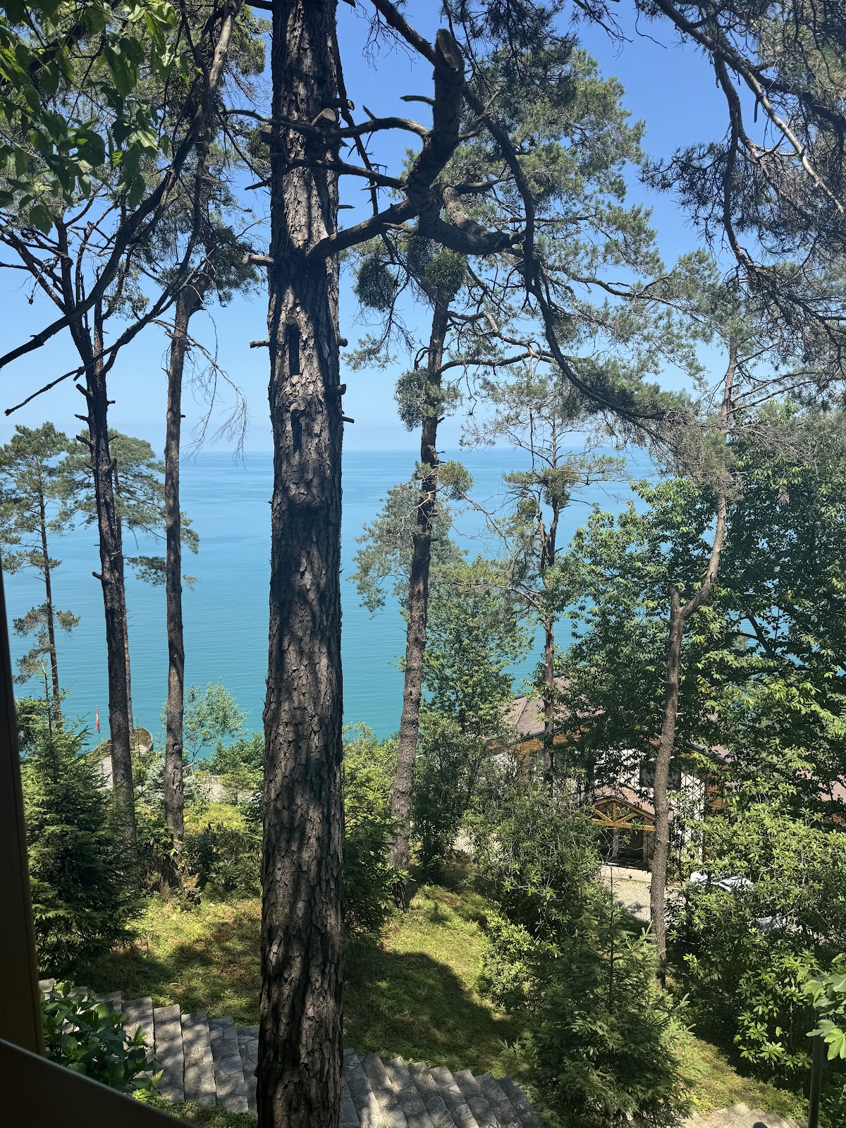 Çamburnu Tabiat Parkı — fotoğraf 2