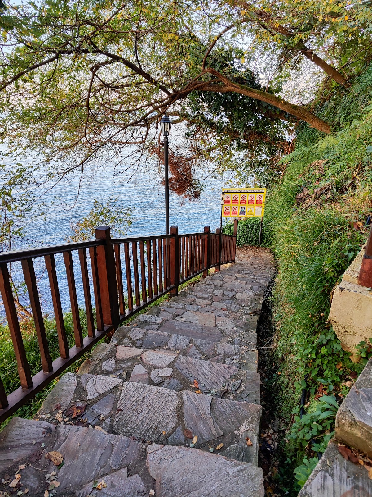 Çamburnu Tabiat Parkı — fotoğraf 4