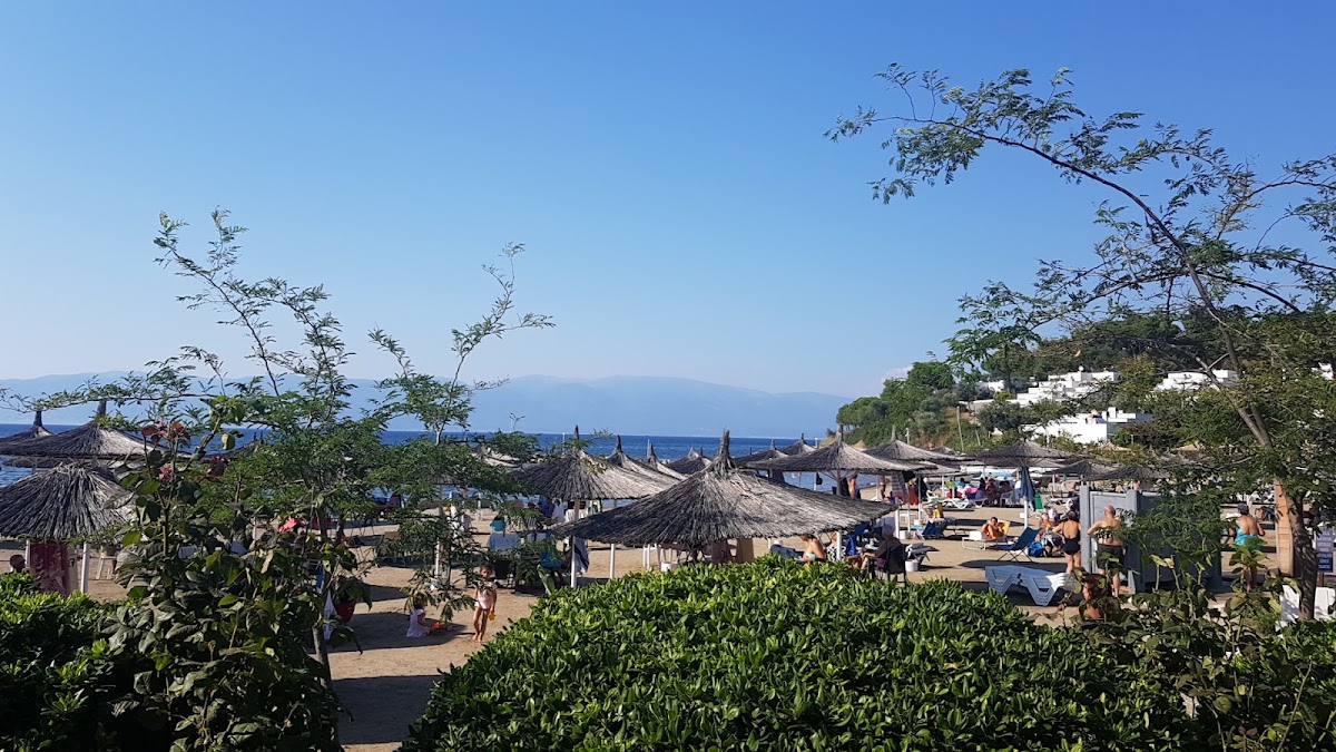 Artur Martı Koyu — fotoğraf 3