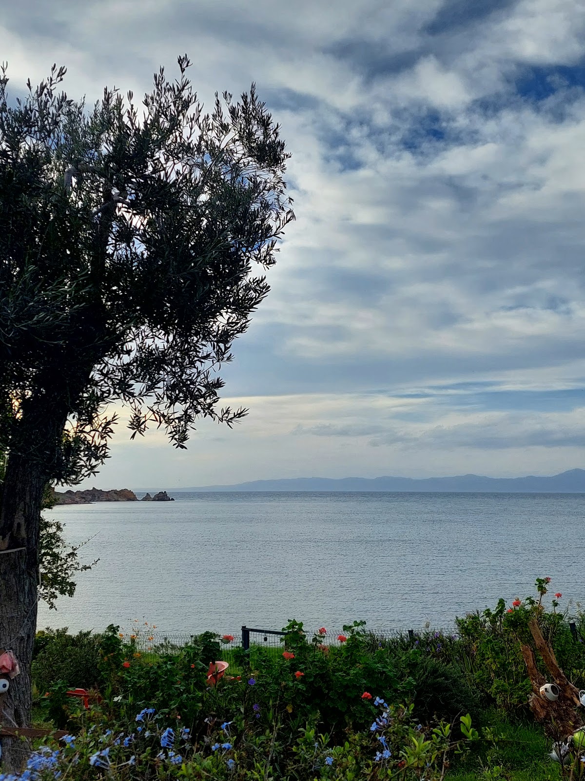 Artur Martı Koyu — fotoğraf 4