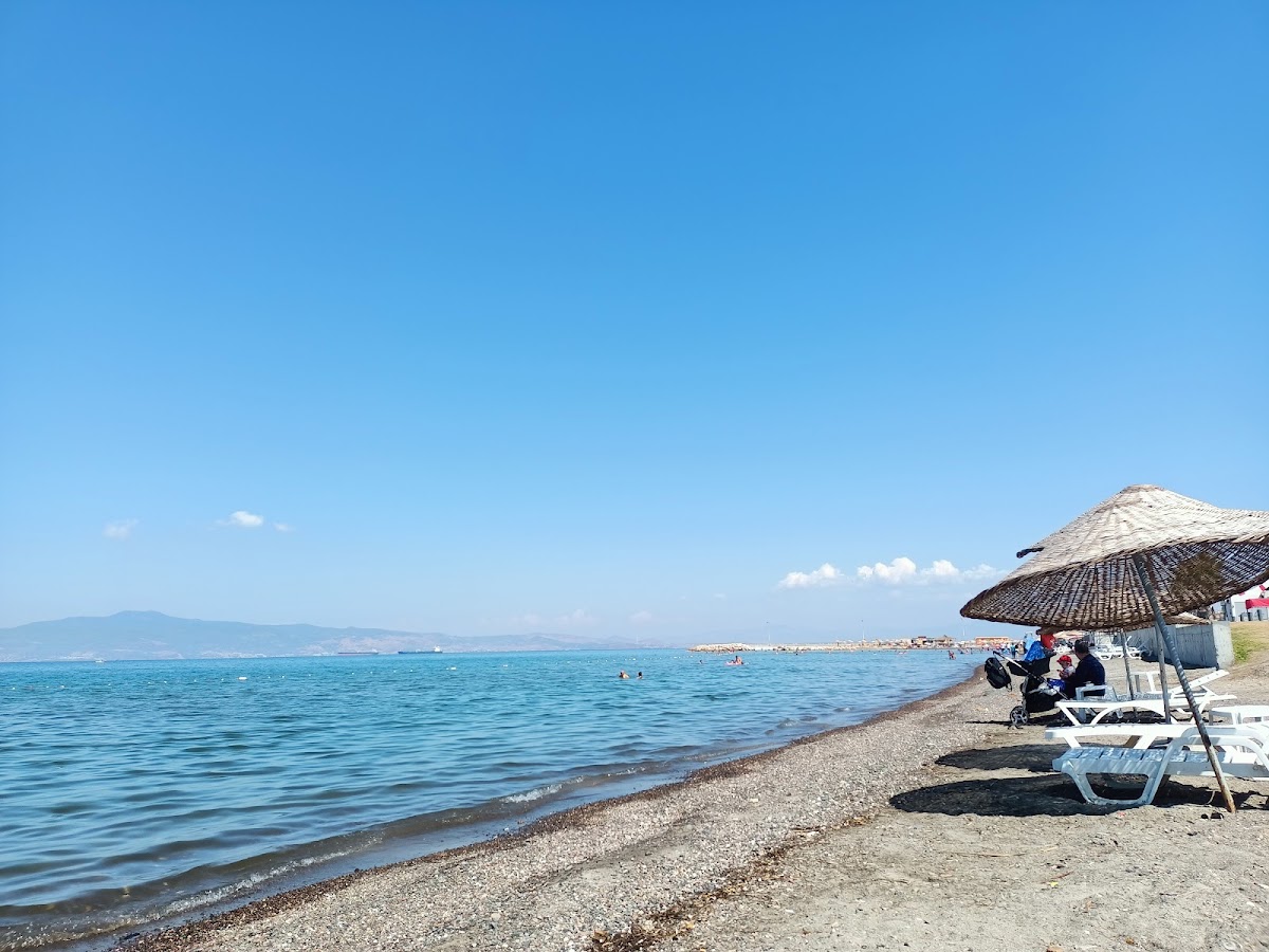 Ağapark Plajı — fotoğraf 2