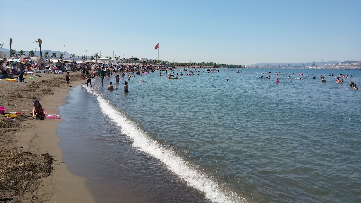 Ağapark Plajı — fotoğraf 5