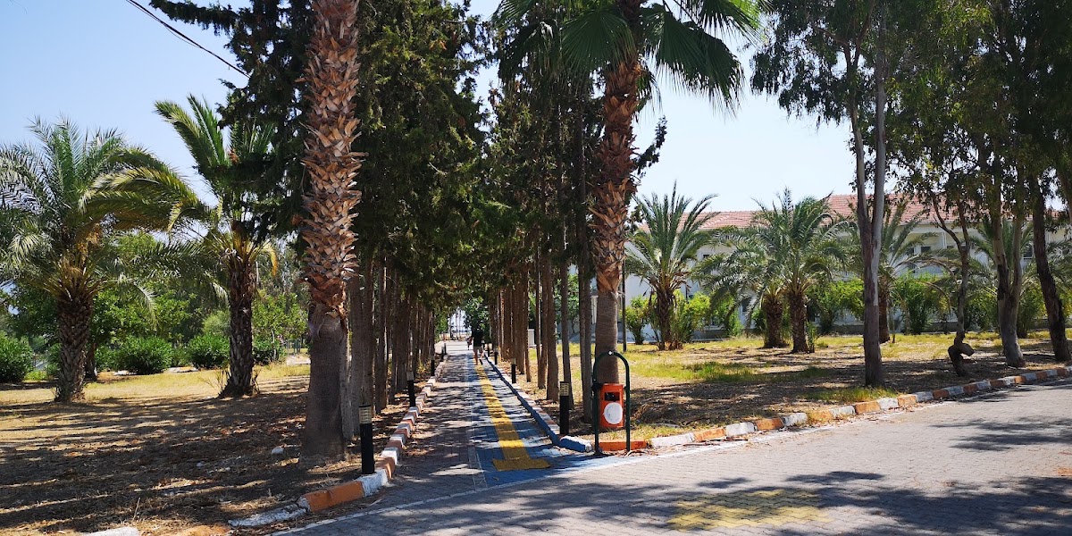 Akdeniz Su Ürünleri Araştırma, Üretme ve Eğitim Enstitüsü Plajı — fotoğraf 5