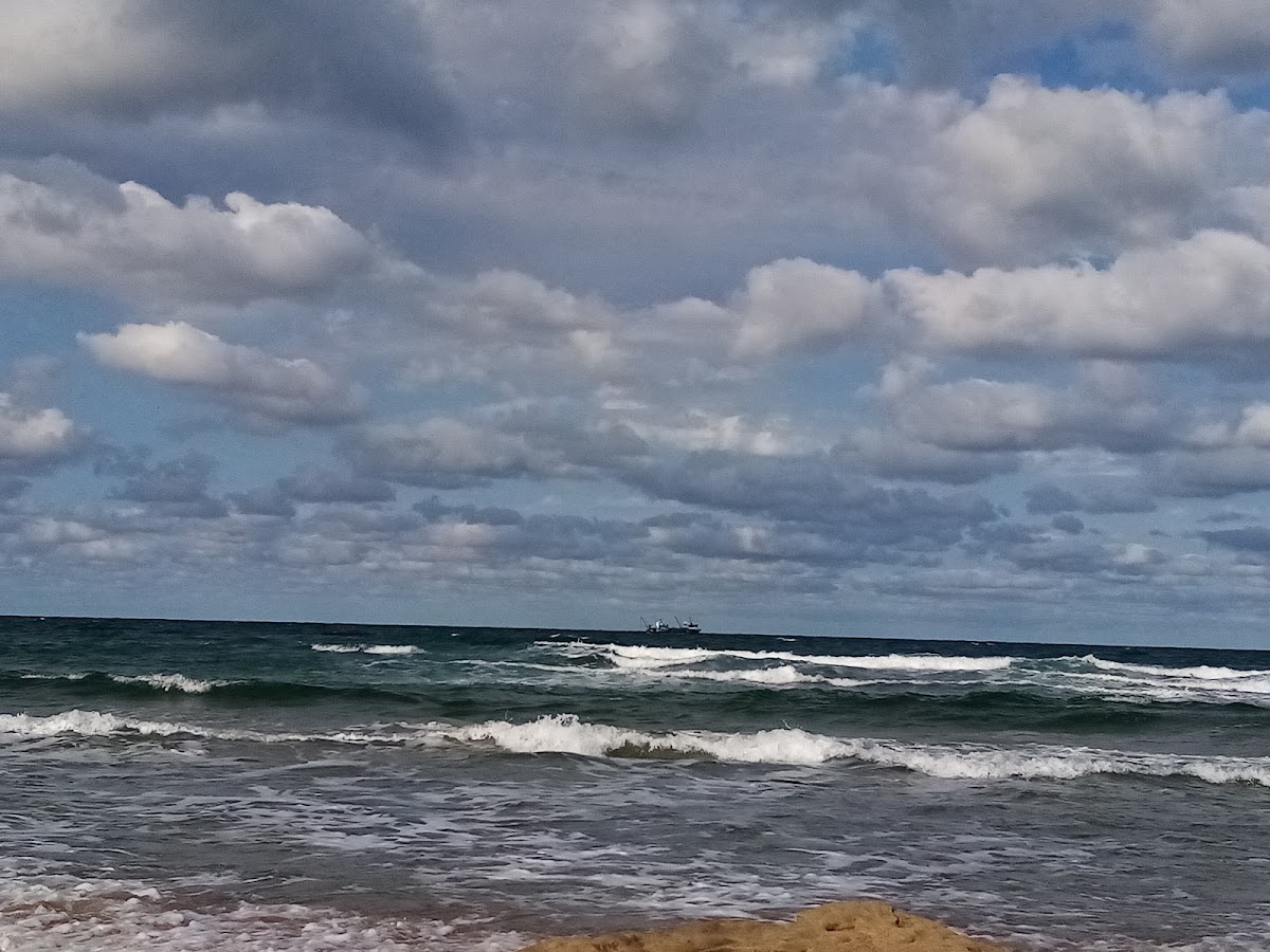 ARNAVUTKÖY BELEDİYESİ KARABURUN PLAJI — fotoğraf 3