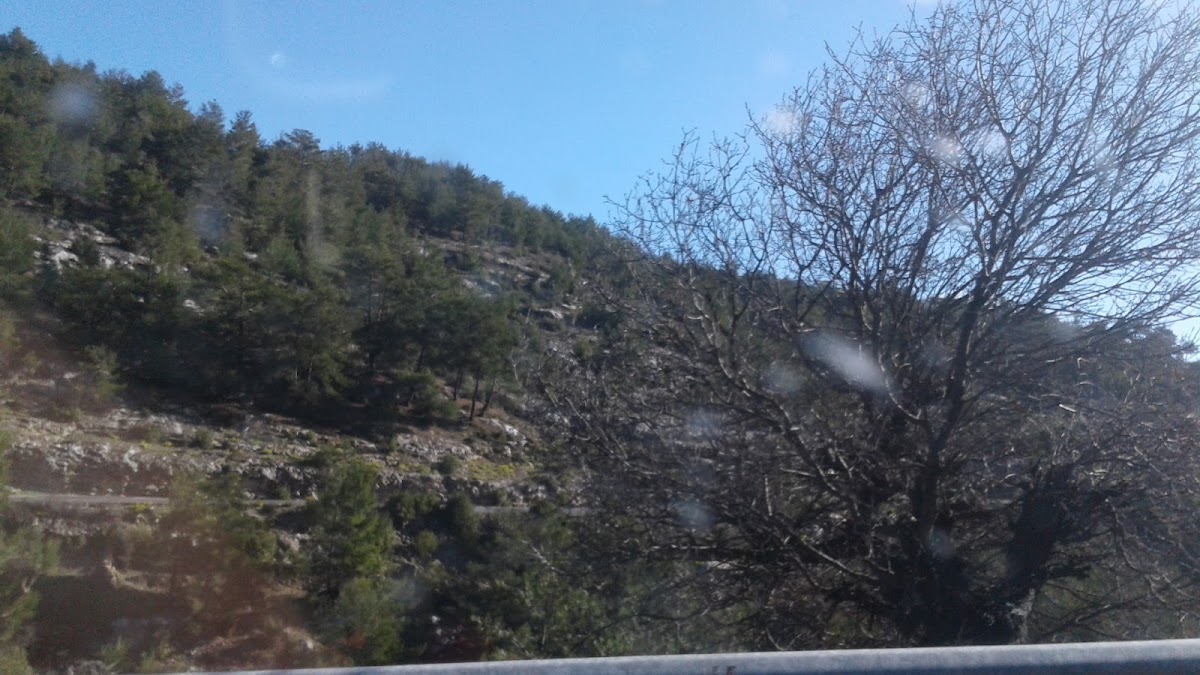 Menekşe Mağarası — fotoğraf 5