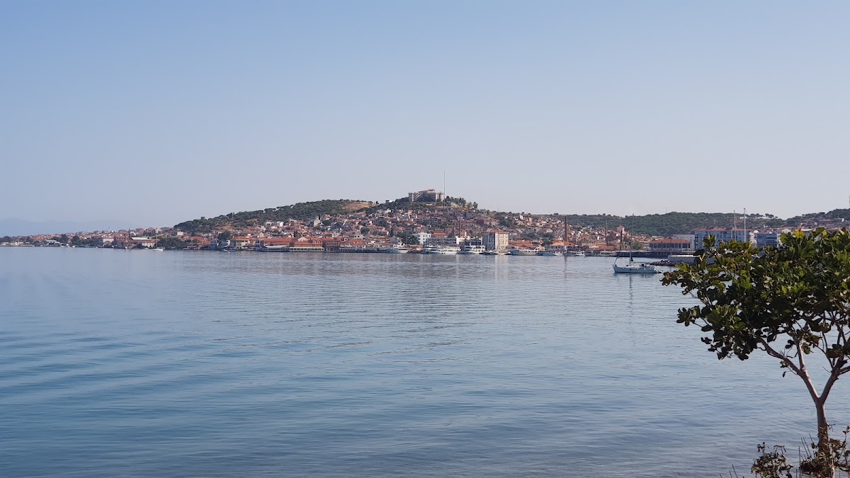 Ayvalık Belediyesi Kapri Plajı — fotoğraf 2