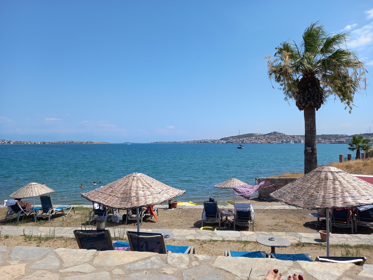 Ayvalık Belediyesi Kapri Plajı — fotoğraf 3