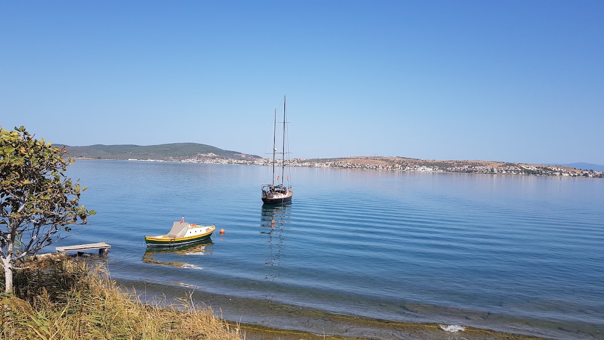 Ayvalık Belediyesi Kapri Plajı — fotoğraf 5