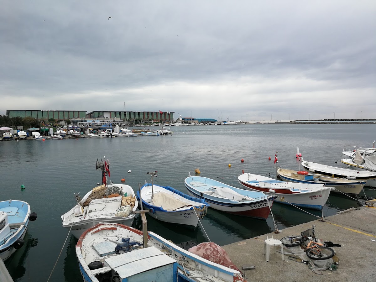 Fener Plajı — fotoğraf 5