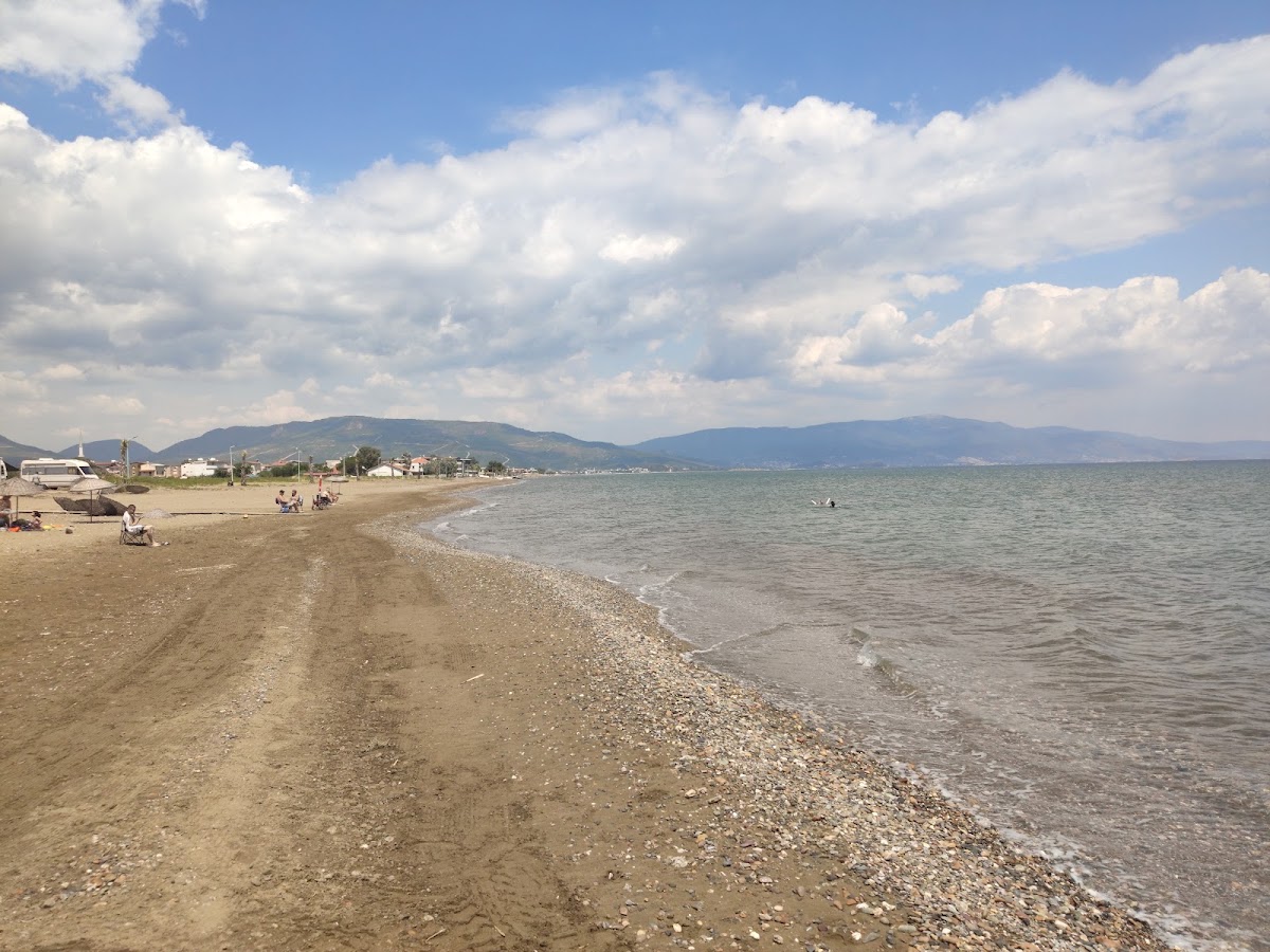 Doğanbey Sakız Ağacı Mevkii
