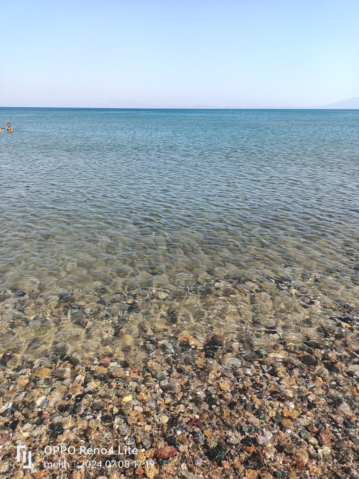 Doğanbey Sakız Ağacı Mevkii — fotoğraf 2
