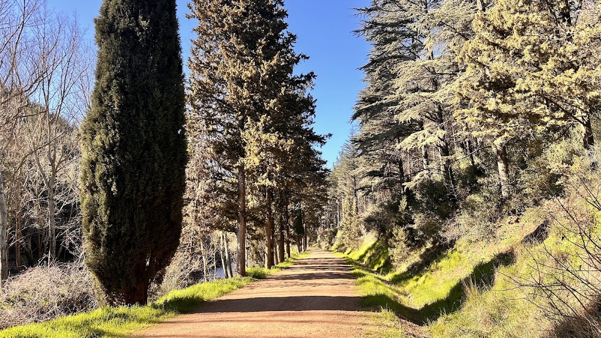 Değirmen Boğazı Tabiat Parkı — fotoğraf 5
