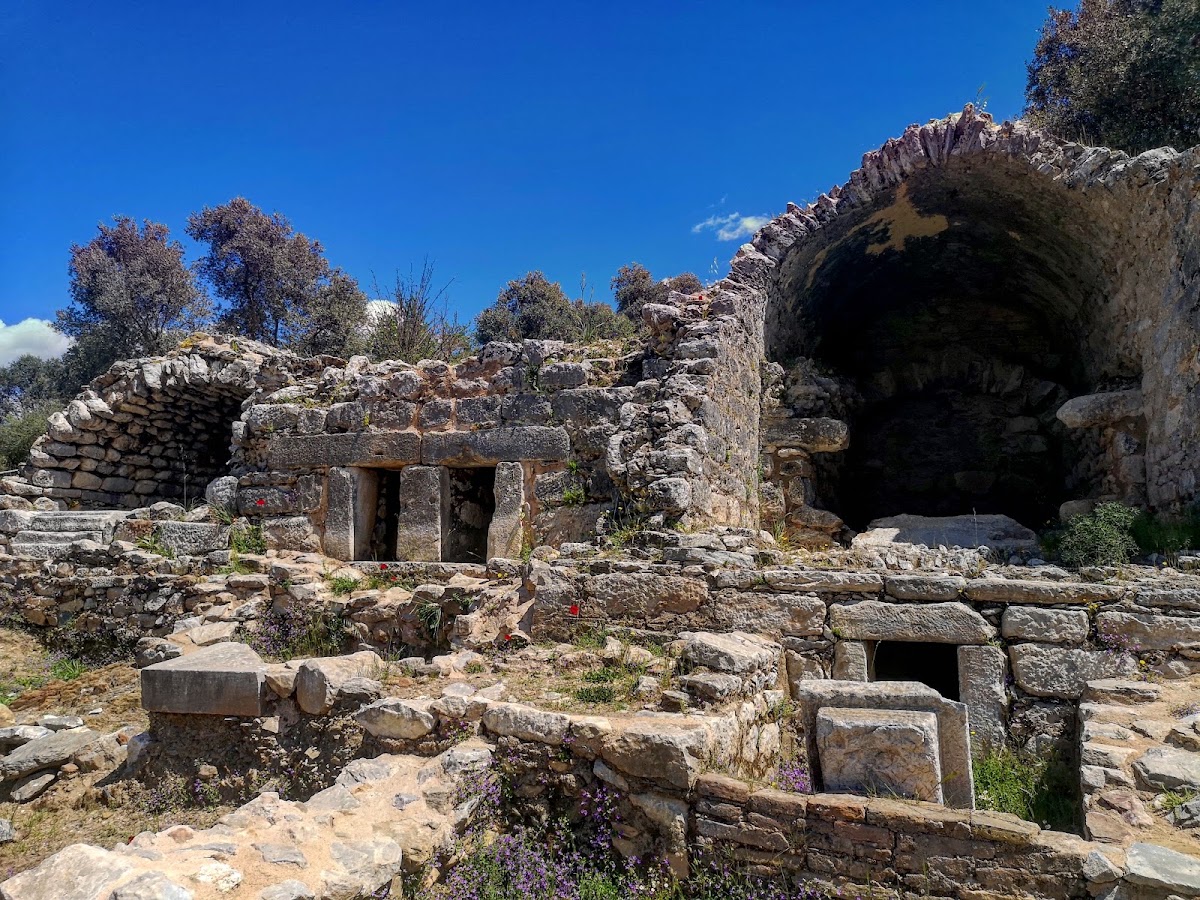 Euromos Zeus Tapınağı — fotoğraf 3