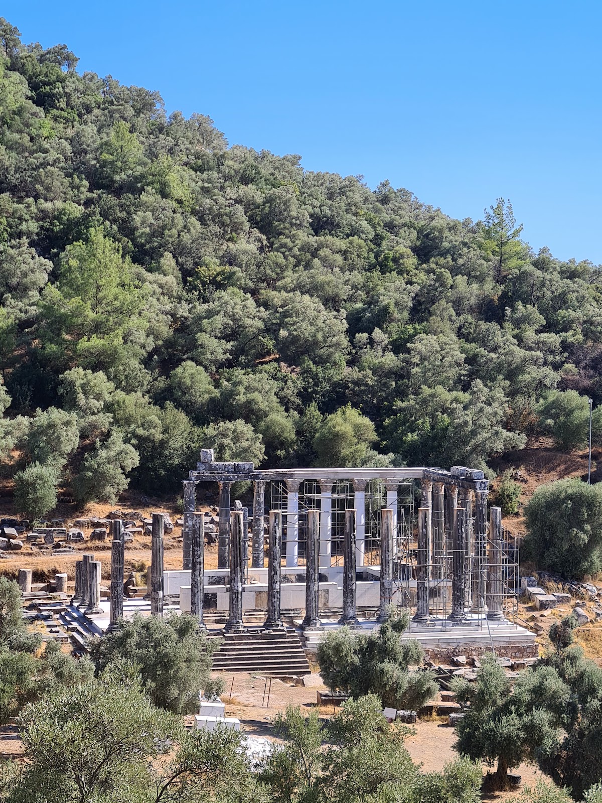 Euromos Zeus Tapınağı — fotoğraf 4