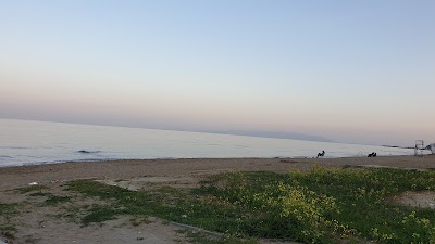 Tekirdağ Büyükşehir Belediyesi Kumbağ Cumhuriyet Halk Plajı