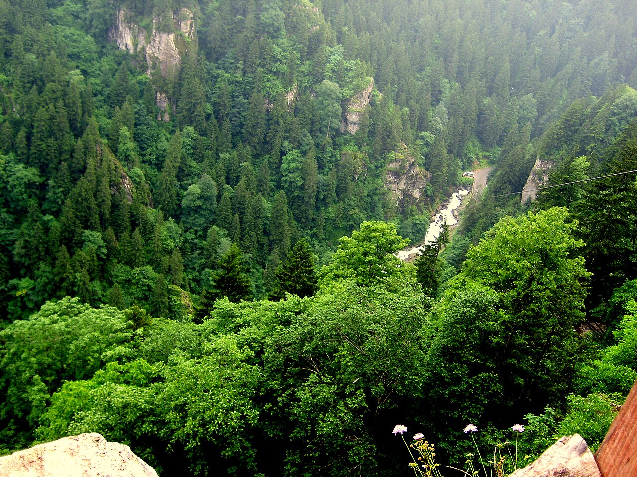 Altındere Vadisi Millî Parkı