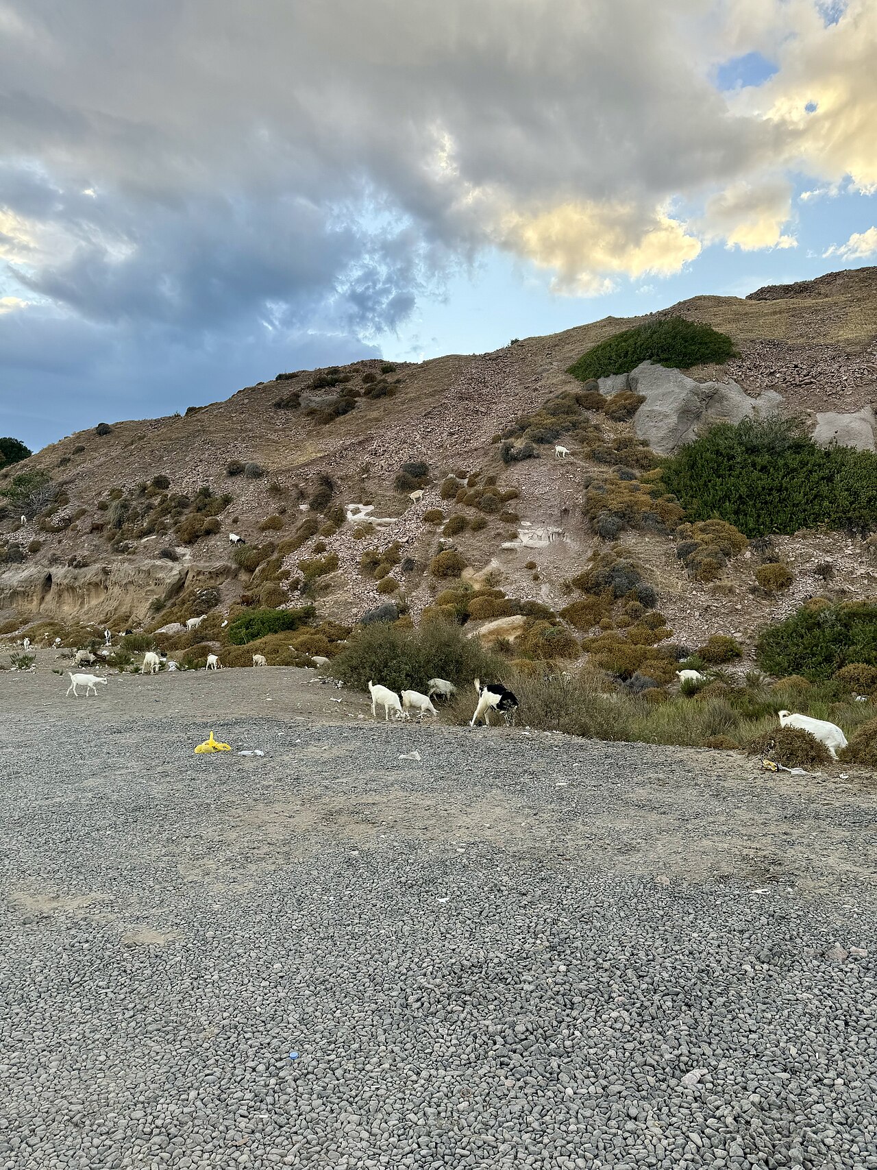 Badavut Plajı — fotoğraf 3
