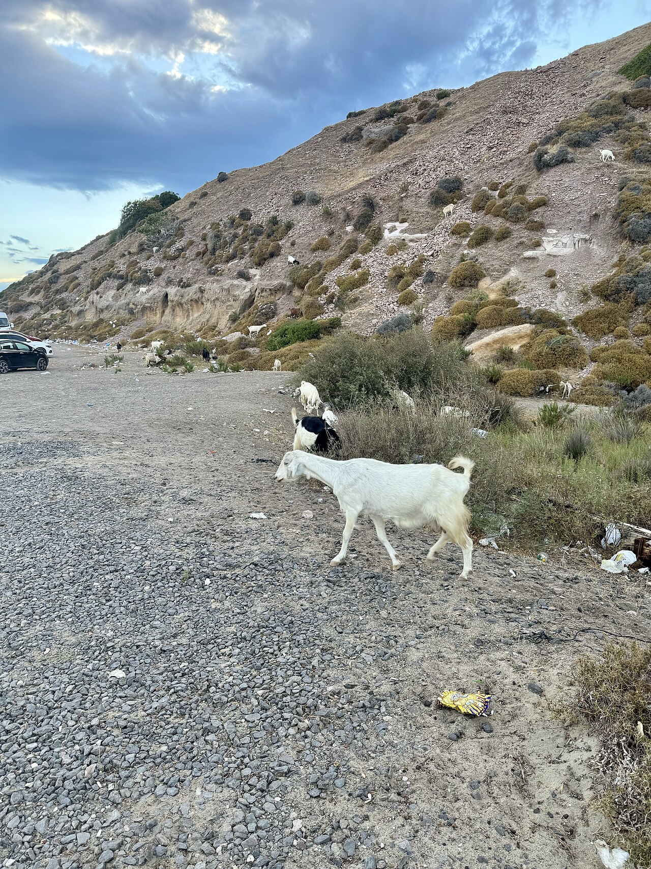 Badavut Plajı — fotoğraf 4