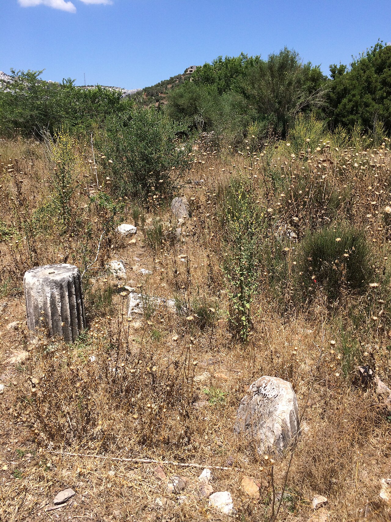 Bargylia — fotoğraf 2