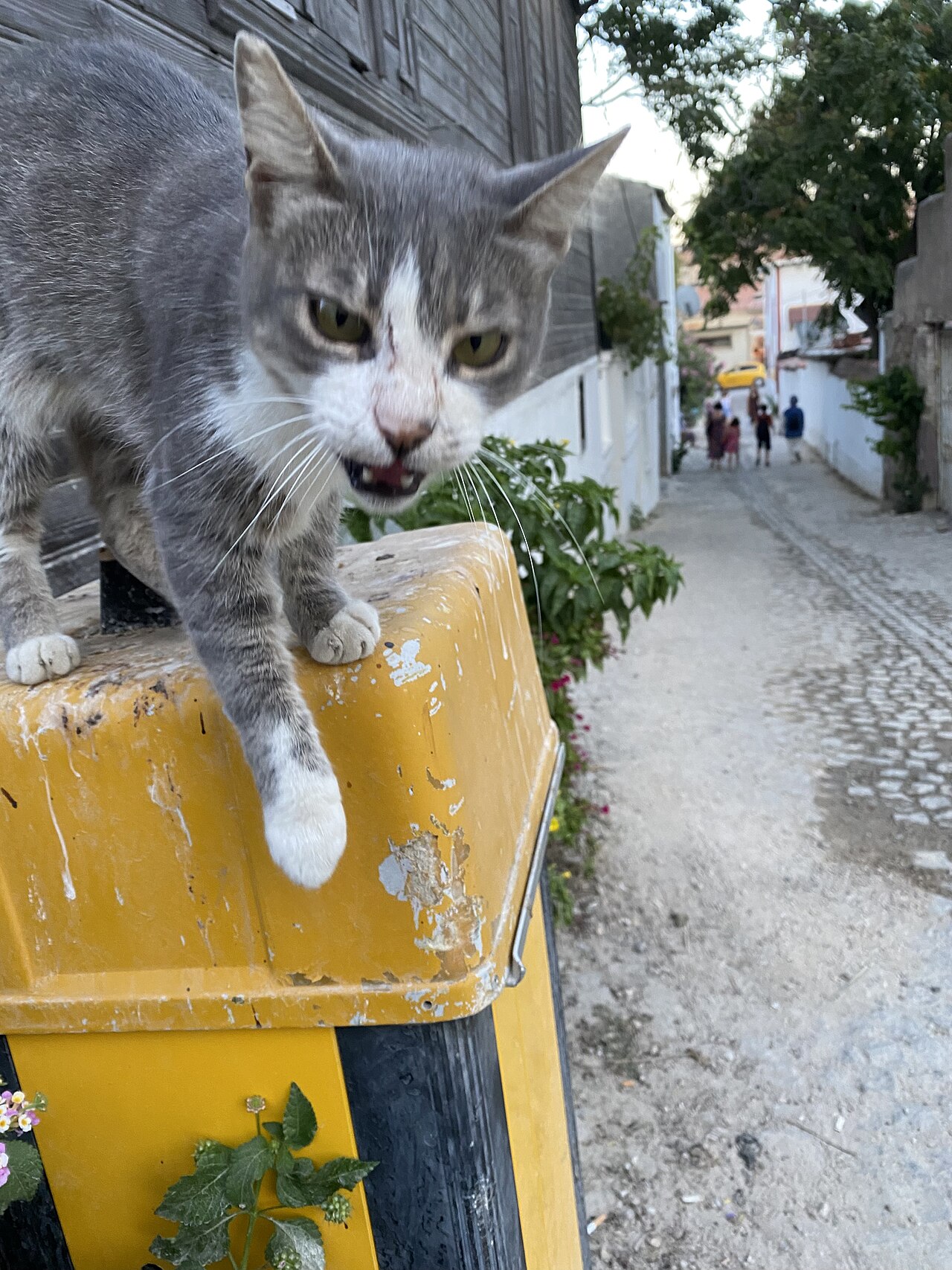 Bozcaada Kalesi