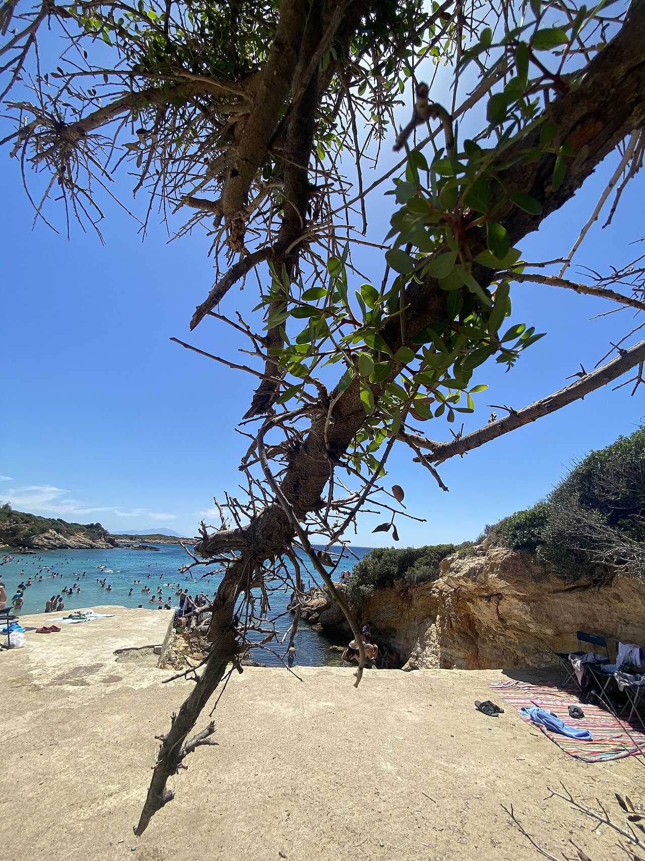 Ekmeksiz Plajı Tabiat Parkı — fotoğraf 4
