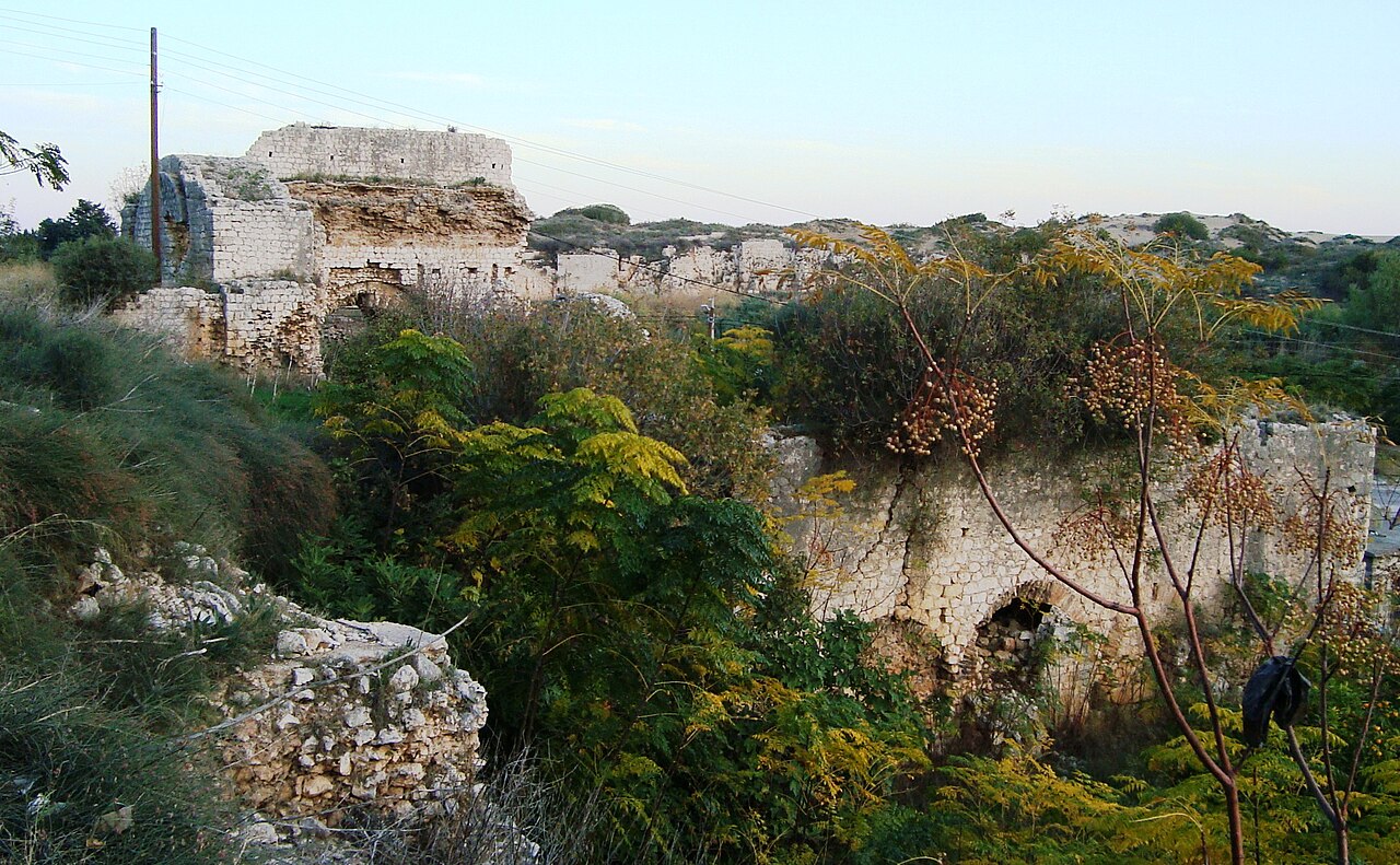 Elaiussa Sebaste — fotoğraf 3