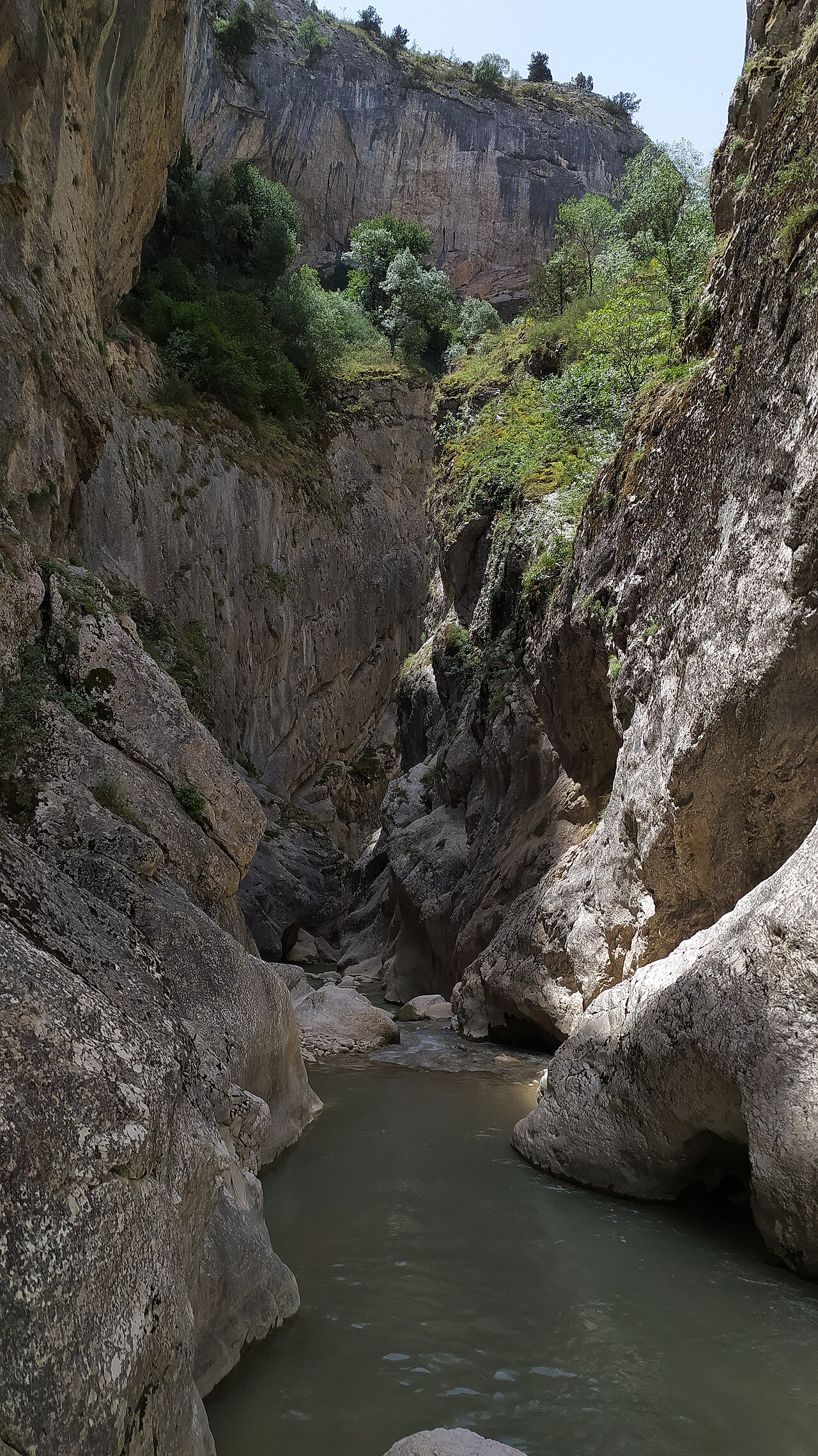 Harmankaya Kanyonu Tabiat Parkı — fotoğraf 3