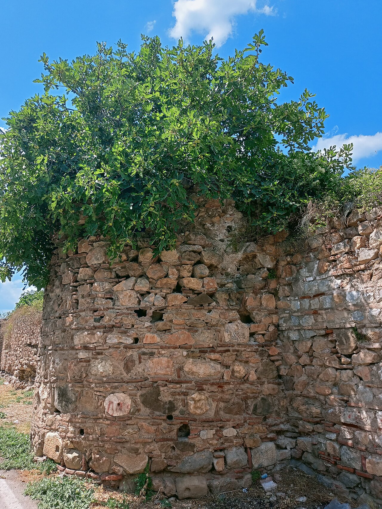İznik Kalesi — fotoğraf 2