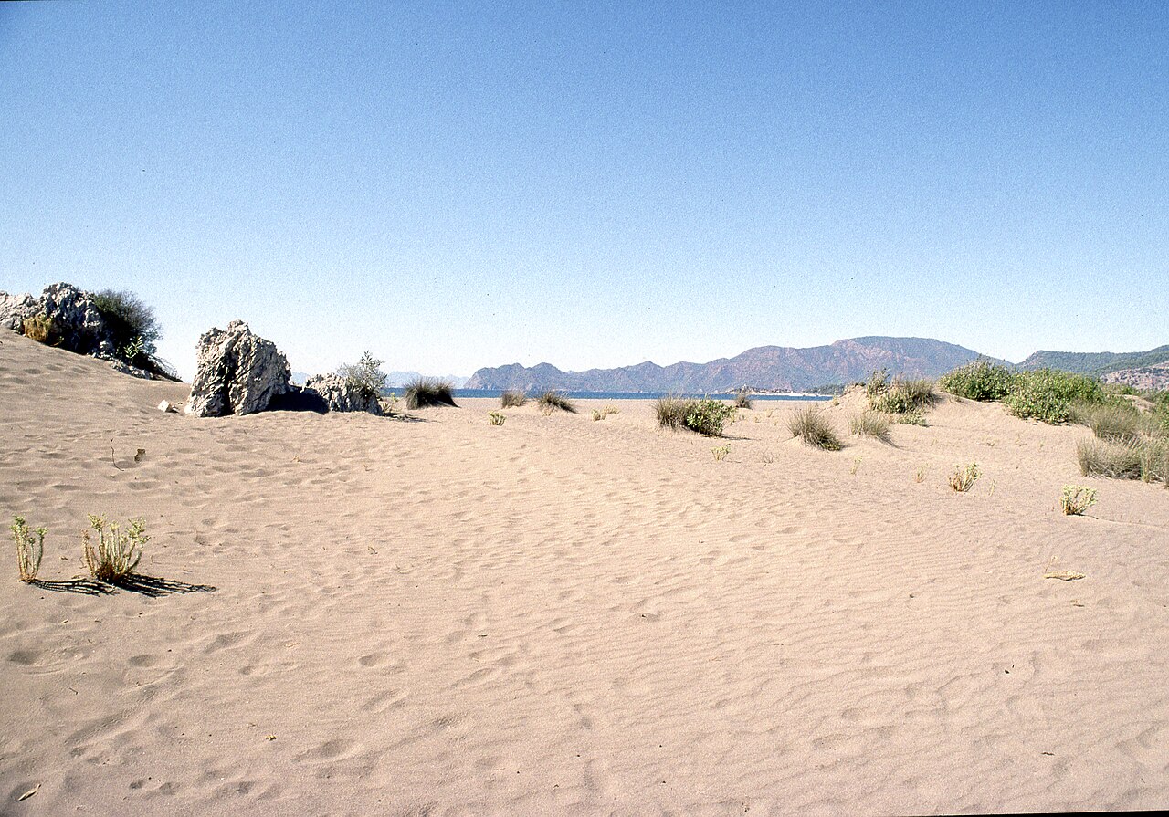 İztuzu Plajı — fotoğraf 3