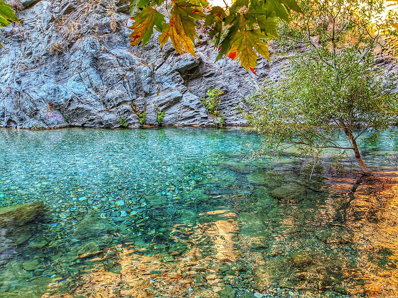 Kazdağı Millî Parkı — fotoğraf 5