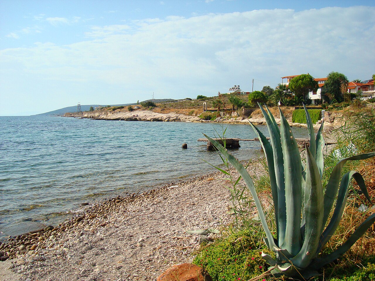 Kocakum Plajı — fotoğraf 2