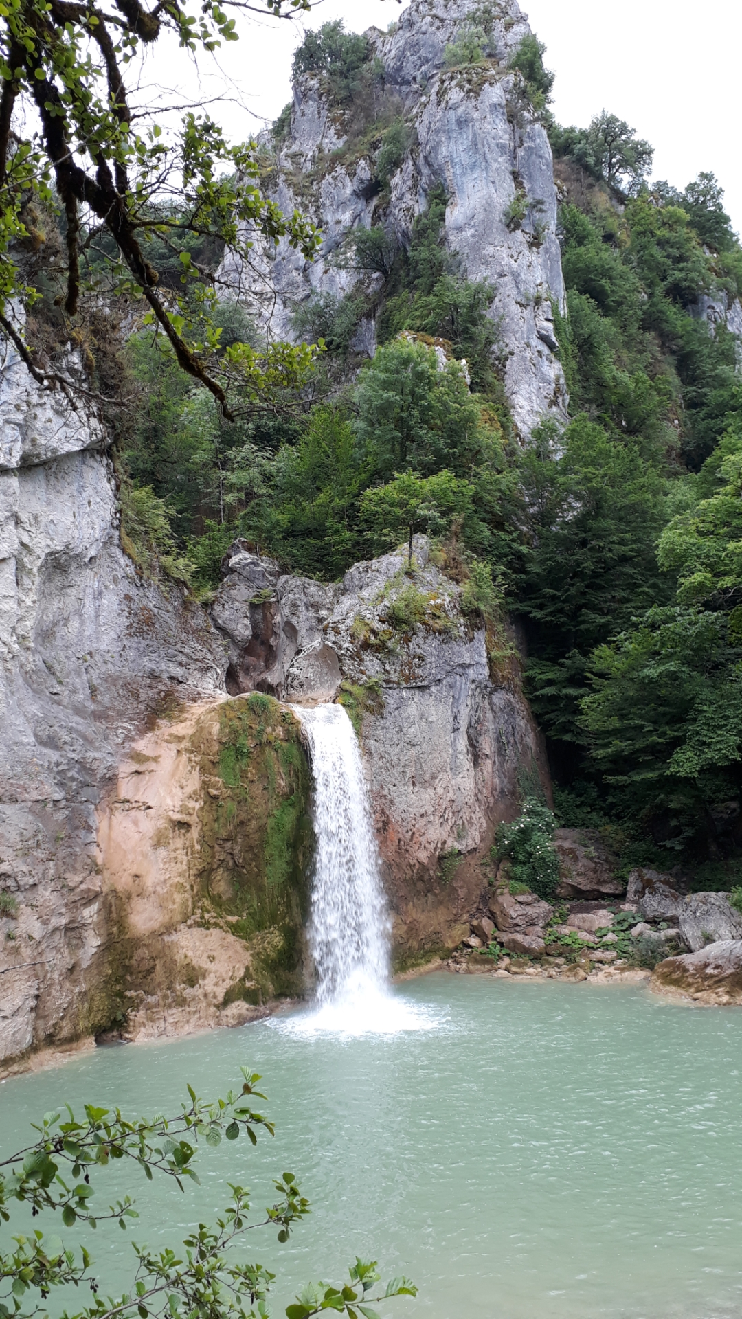 Küre Dağları Millî Parkı — fotoğraf 2