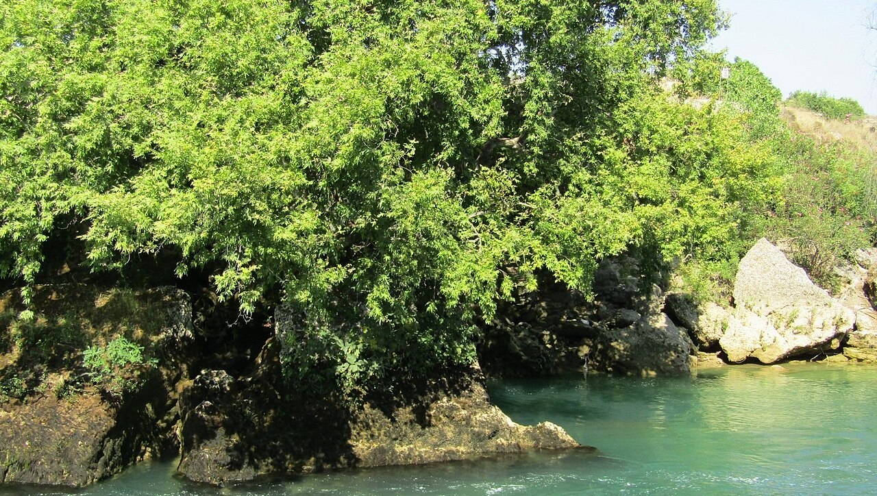 Manavgat Şelalesi — fotoğraf 5