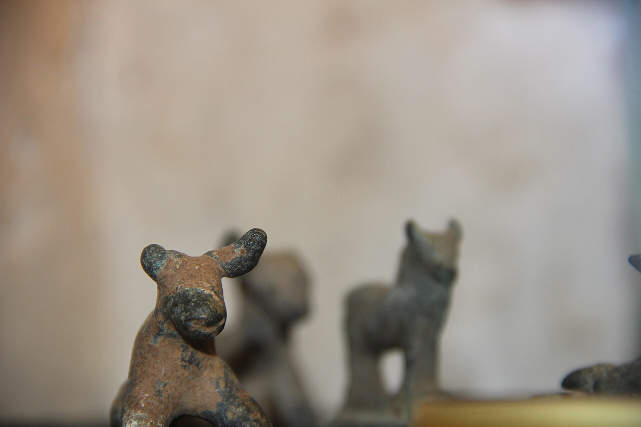 Mardin Müzesi — fotoğraf 3