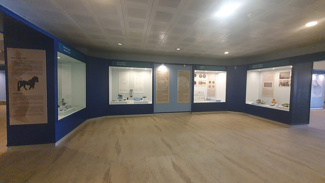 Milet Müzesi — fotoğraf 5