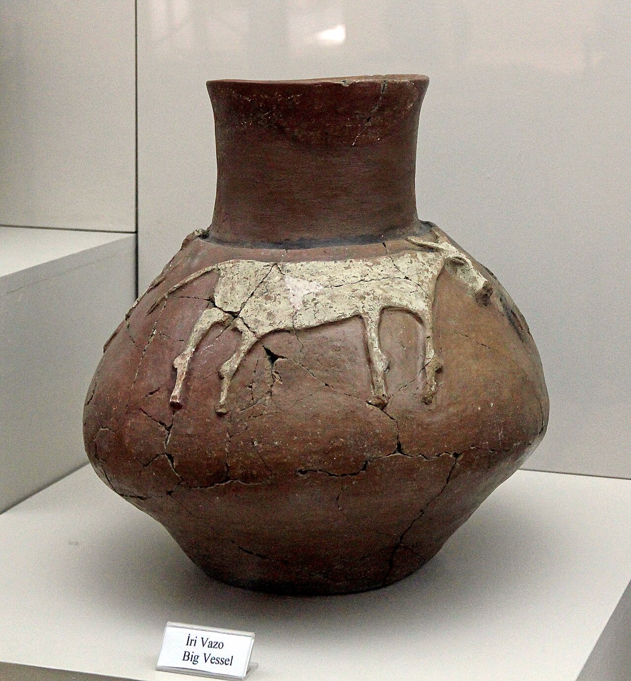 Niğde Arkeoloji Müzesi — fotoğraf 5